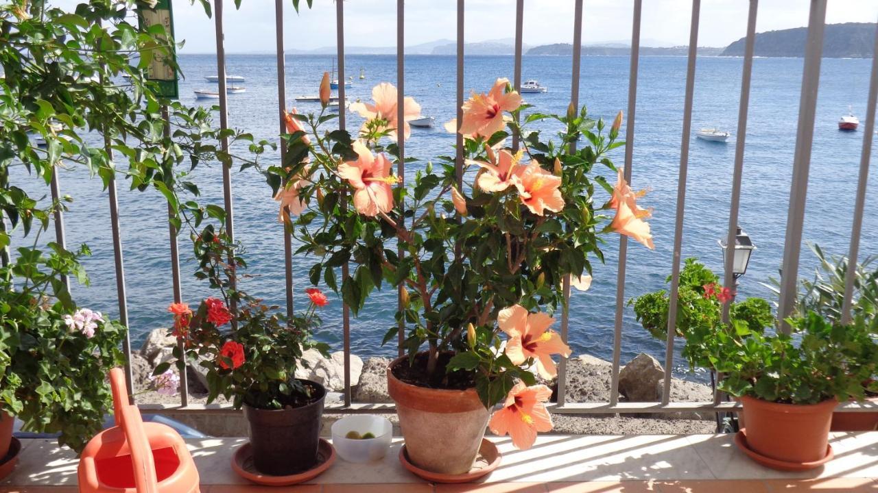 I Cinque Sensi Panzió Ischia Szoba fotó
